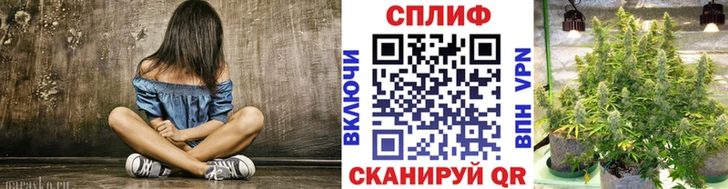Конопля индика  Купить где  Егорьевск 